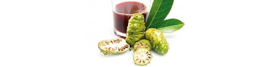 Noni Juice Noni Juice
