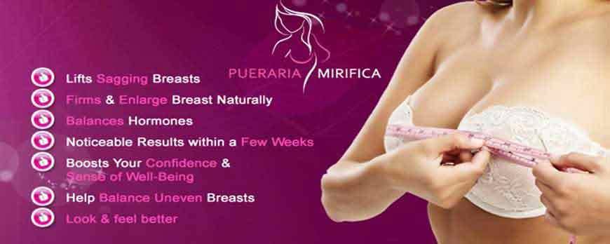 Pueraria Mirifica. Capsules for breast augmentation.